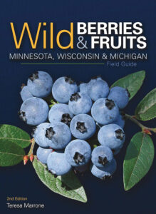 Wild Berries Fruits of MN WI MI Field Guide